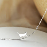Silver Cat Collar for Adventurous Climbers