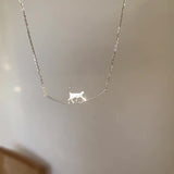 Silver Cat Collar for Adventurous Climbers
