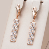 Chic and Dazzling Rectangular Earrings